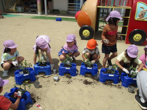 IMG_8116.JPG